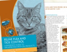 <strong>Vetlearn</strong> | Feline Flea and Tick Monograph