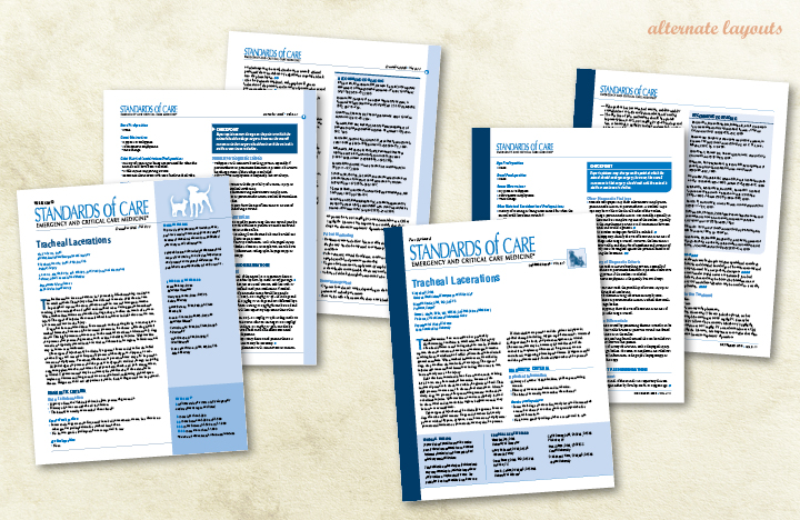 Standards of Care alternate layouts