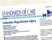 <strong>NAVC</strong> | <em>Standards of Care</em> Redesign